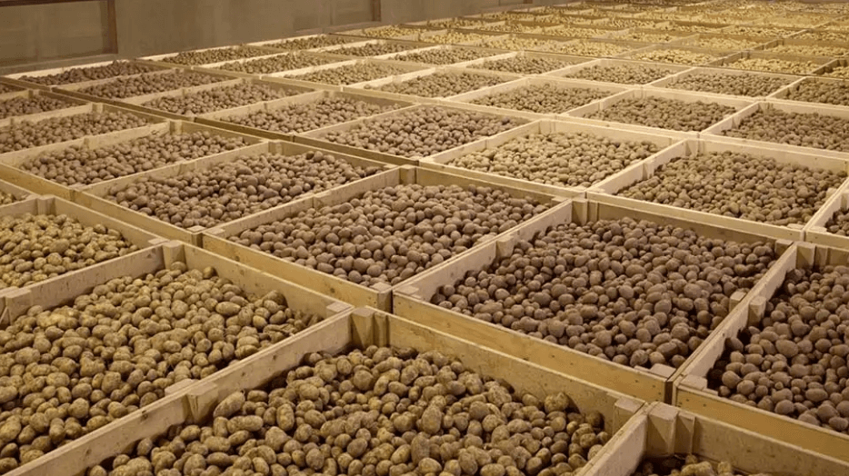 Agricultural Refrigeration 1