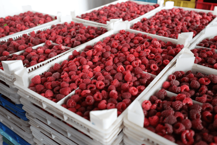 Agricultural Refrigeration 2